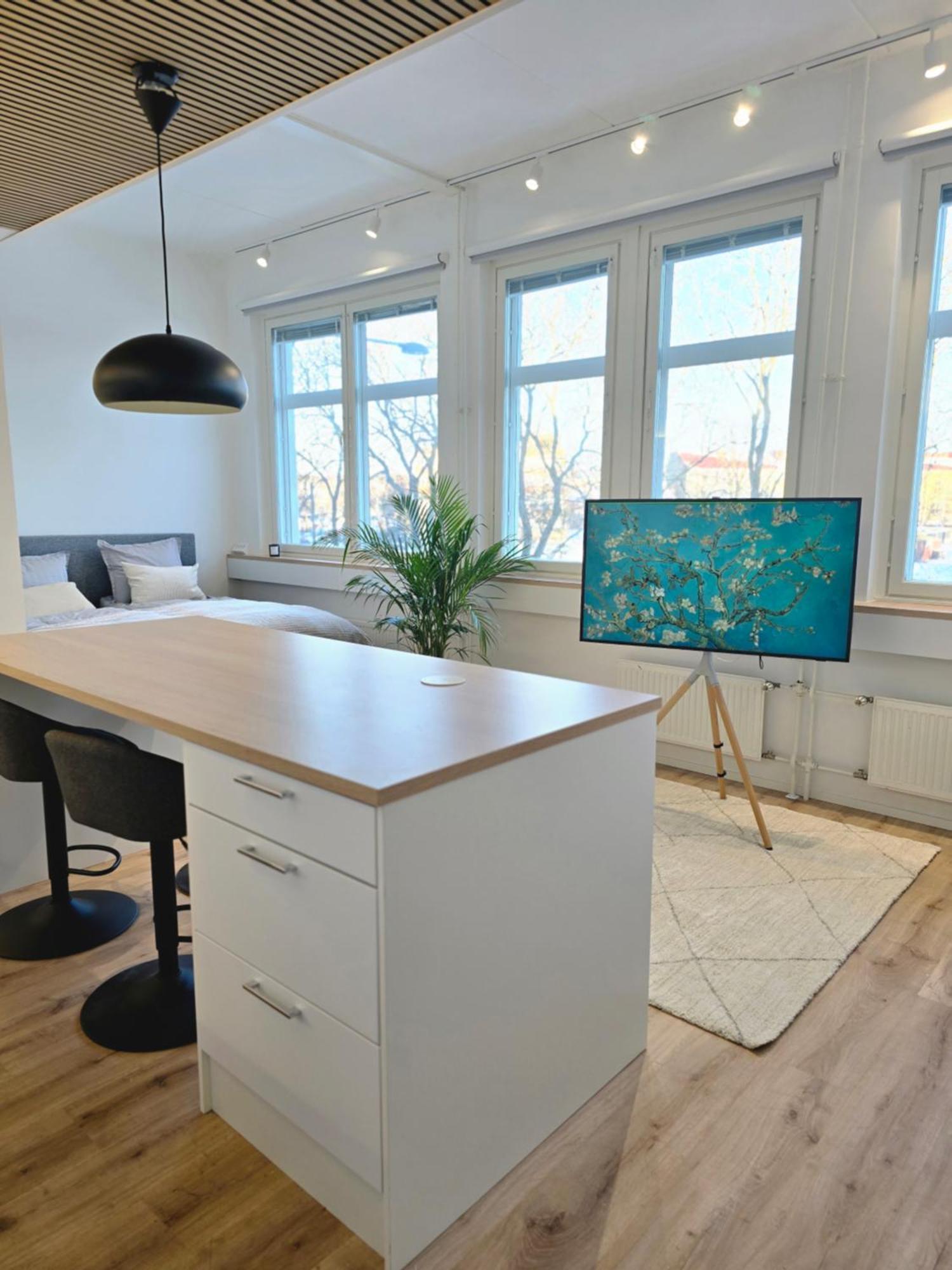 Apartment Upea Asunto Salon Sydaemessae, Ilmainen Pysaekoeinti, Laehellae Kaikkea *